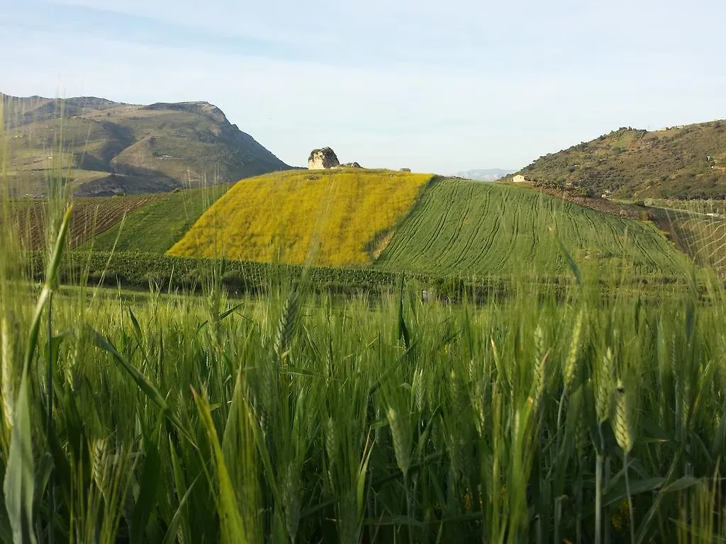 Bed & Breakfast La Suite Di Segesta Calatafimi