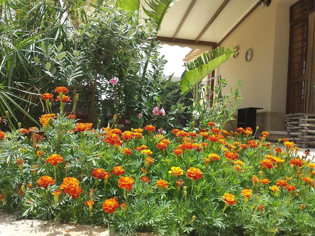 La Suite Di Segesta Calatafimi Bed & Breakfast
