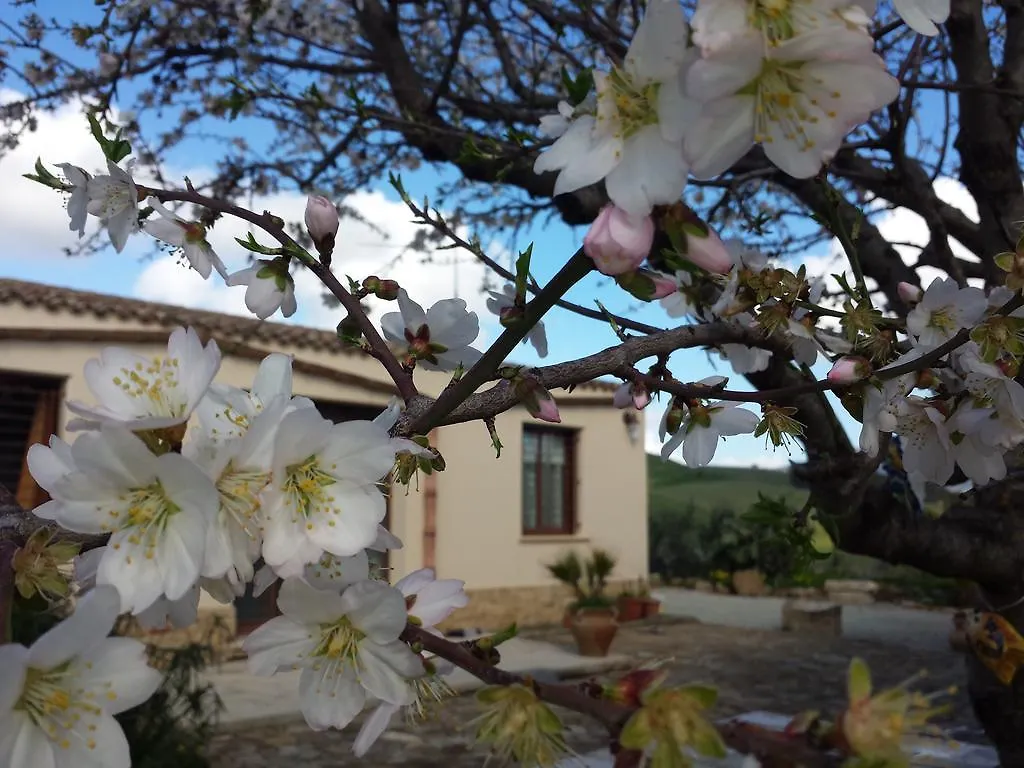 La Suite Di Segesta Calatafimi Bed & Breakfast